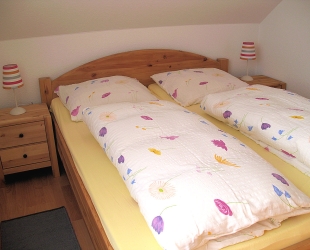 Ferienwohnung 1
