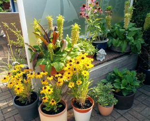 Ferienwohnung 2