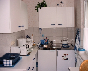 Ferienhaus 1